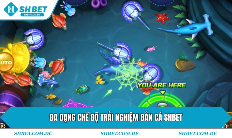 Đa dạng chế độ trải nghiệm săn sinh vật tại SHBET