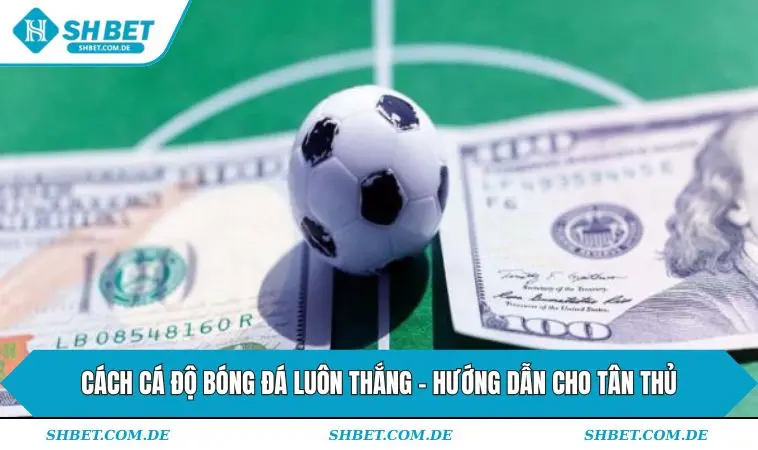 Cách cá độ bóng đá luôn thắng