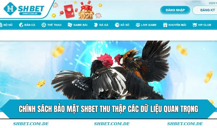 Chính sách bảo mật SHBET thu thập các dữ liệu quan trọng