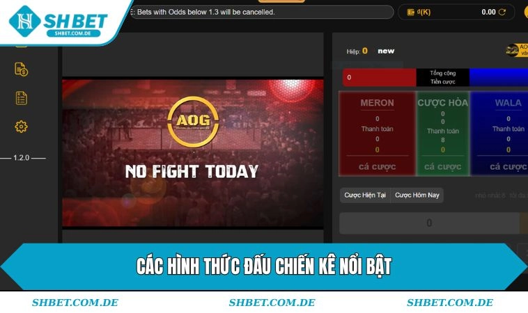 Các hình thức đá gà SHBET nổi bật