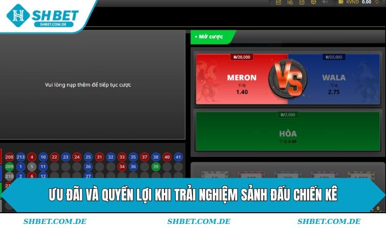 Ưu đãi và quyền lợi khi trải nghiệm sảnh đấu chiến kê