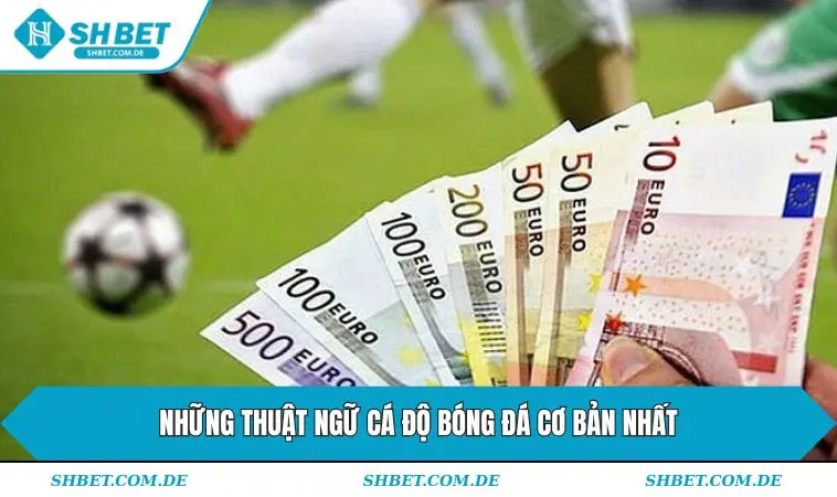 Những thuật ngữ cá độ bóng đá cơ bản nhất