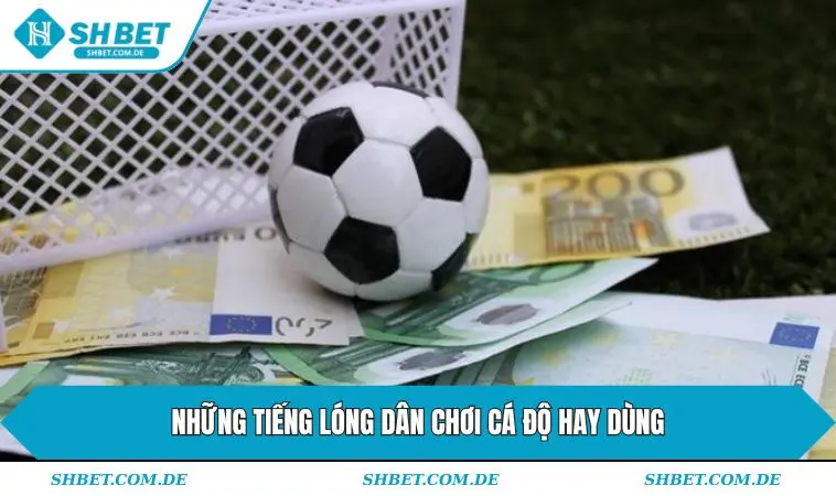 Những tiếng lóng dân chơi cá độ hay dùng