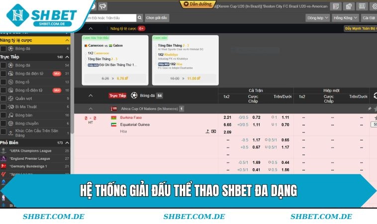 Hệ thống giải đấu thể thao SHBET đa dạng