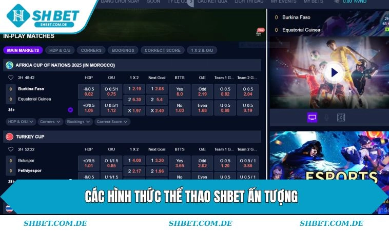 Các hình thức thi đấu ấn tượng tại chuyên mục thể thao