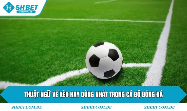 Thuật ngữ về kèo hay dùng nhất trong cá độ bóng đá