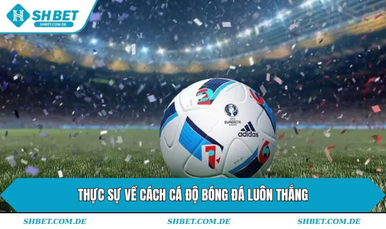 Thực sự về cách cá độ bóng đá luôn thắng