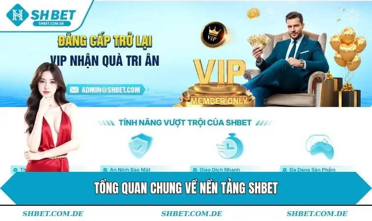 Tổng quan chung về nền tảng SHBET